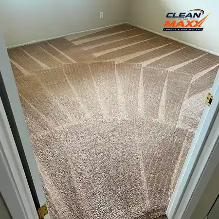 carpet-after4 carpet-after4
